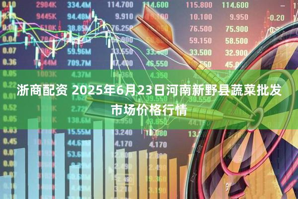 浙商配资 2025年6月23日河南新野县蔬菜批发市场价格行情