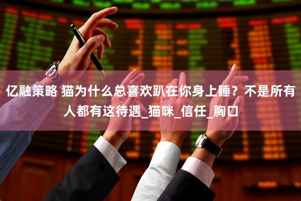 亿融策略 猫为什么总喜欢趴在你身上睡？不是所有人都有这待遇_猫咪_信任_胸口
