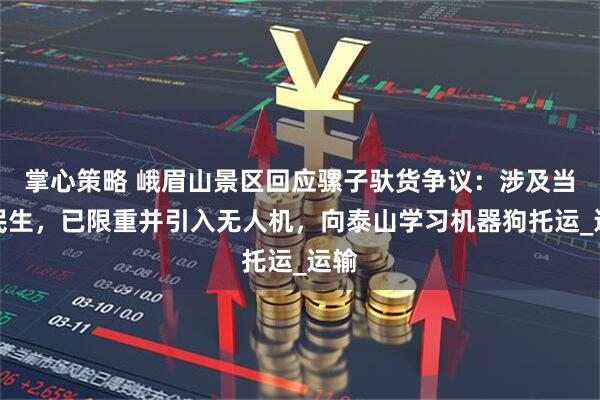 掌心策略 峨眉山景区回应骡子驮货争议：涉及当地民生，已限重并引入无人机，向泰山学习机器狗托运_运输