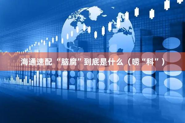 海通速配 “脑腐”到底是什么（唠“科”）